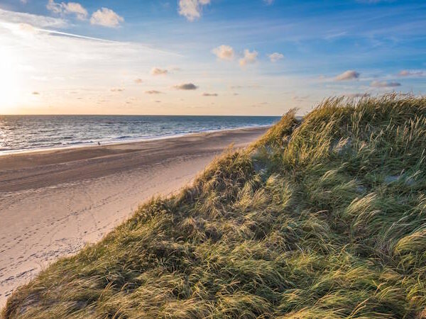 Urlaub Südjütland