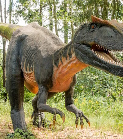 Dinosaurierpark – Givskud Zoo – beliebtes Familienausflugsziel