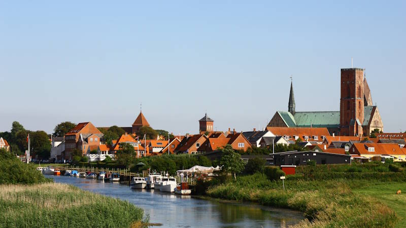 Ribe